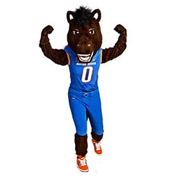 Horse or Bronco mascot costume - Alinco Costumes