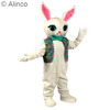 cotton bunny