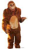 orangutan mascot costume