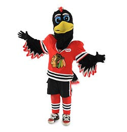 Black hawks mascot