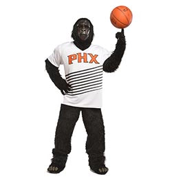 Phoenix gorilla mascot