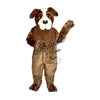 St. Bernard- M900
