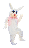 peter rabbit mascot costume