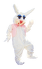 peter rabbit mascot costume