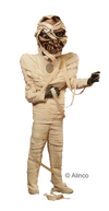 mummy mascot costume