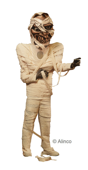 Alinco Costumes Inc. Alinco Costumes Inc.