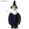 wizard mascot costume