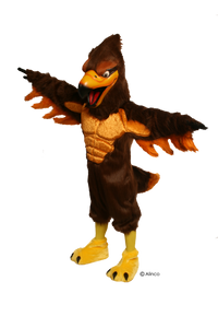 power hawk mascot costume