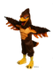 power hawk mascot costume