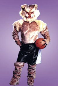 pro line wildcat mascot costume